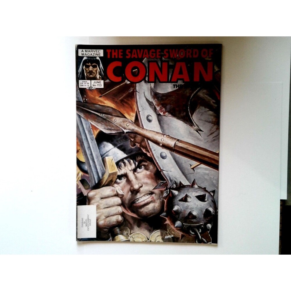 Savage Sword of Conan #113 Marvel Earl Norem Cover 1985